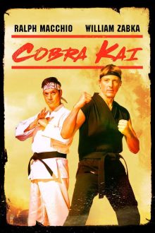Cobra-Kai-Season-1
